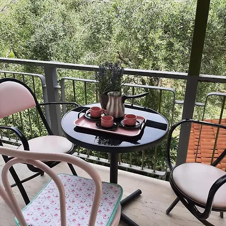 Olga Apart Apartment *